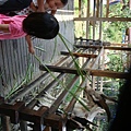 DSC08293.JPG