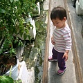 DSC06612.JPG