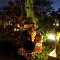 DSC09738.JPG