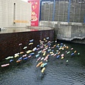 DSC08700.JPG