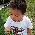 DSC08624.JPG