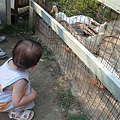 DSC08068.JPG