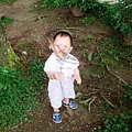 DSC07382.JPG
