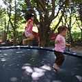 DSC08320.JPG