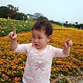 DSC06512.JPG