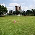 DSC08631.JPG