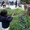 DSC09659.JPG