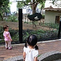 DSC08775.JPG