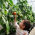 DSC06618.JPG