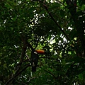 DSC07946.JPG
