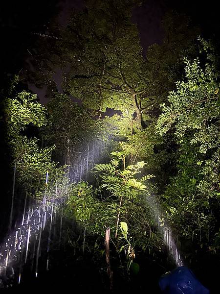 《中南美洲大暴走》哥斯大黎加漫步在雲端 Monteverde