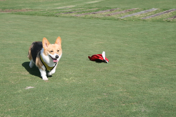 終於跑完3000m.