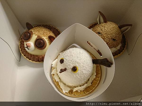 DSC_2933.JPG DSC_2933.JPG