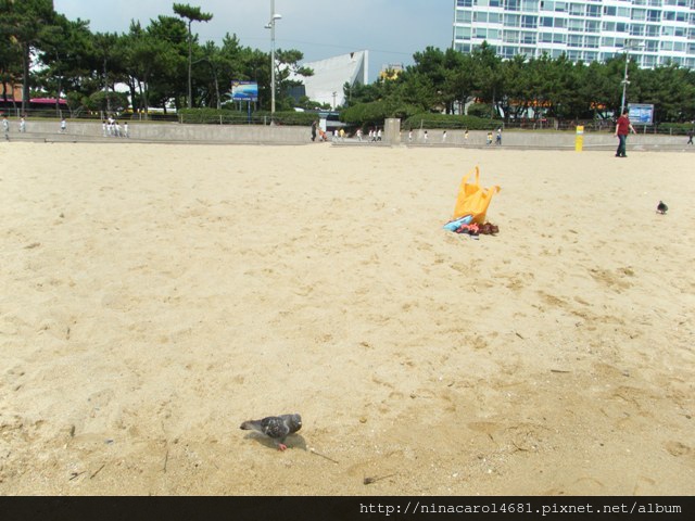 Chyn_Haeundae 29.JPG