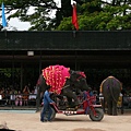 大象騎腳踏車