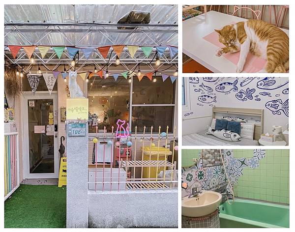 【台南住宿】月亮慢慢走｜太陽慢慢走｜台南寵物友善住宿、台南民