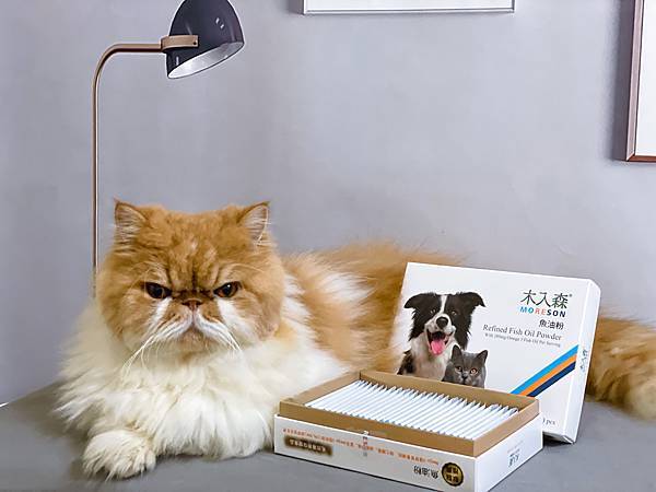 【寵物保健】木入森．魚油粉｜守護毛孩健康｜寵物營養補充品