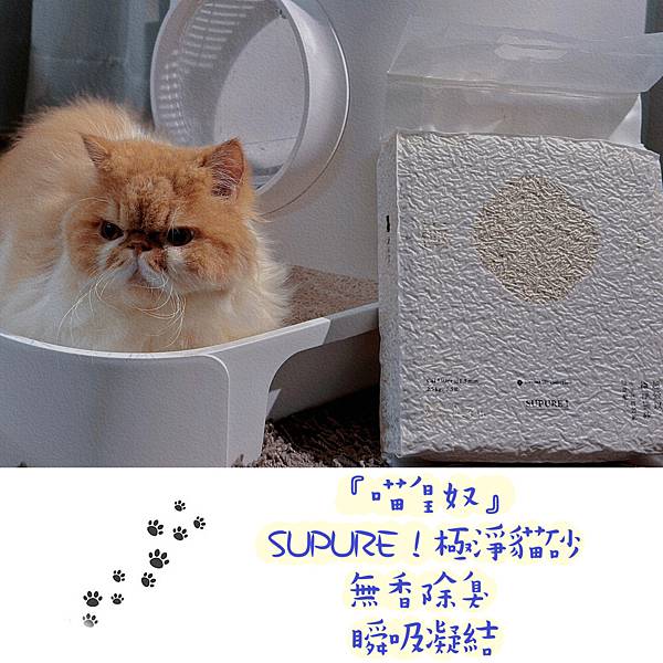 【寵物貓砂】喵皇奴SUPURE！極淨貓砂｜天然除臭瞬吸凝結｜