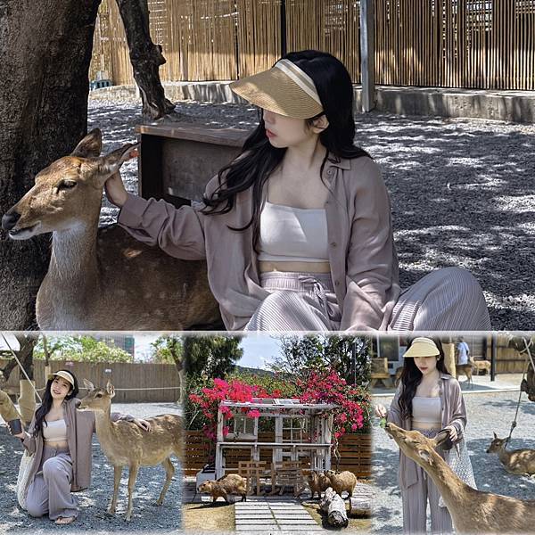 【屏東景點】墾丁鹿境梅花鹿｜台版小奈良｜水豚君VS梅花鹿互動