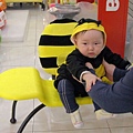 小蜜蜂椅
