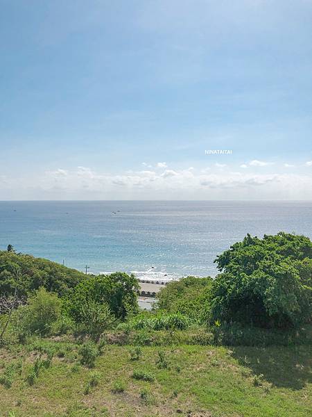 【台東住宿】長濱椿果的理想退休生活 有山有海有農地