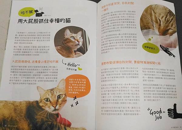 貓咪認養文章刊登於2017.8月刊-內文1.jpg