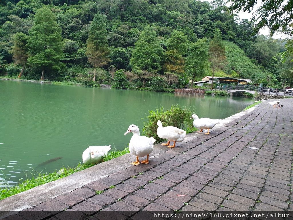 20190918 Crystal 幾米公園、廣場、愛情轉運站、宜蘭故事館_190924_0325.jpg