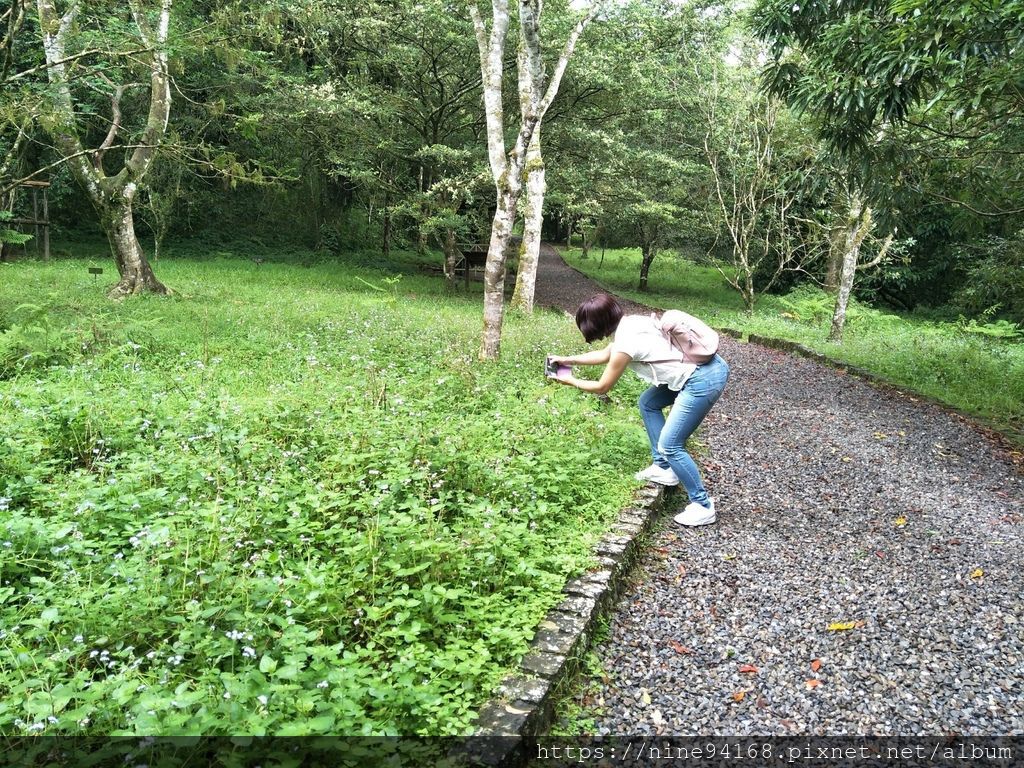 20190919 Yoko福山植物園、香草菲菲、養蜂人家、清水地熱_190924_0013.jpg