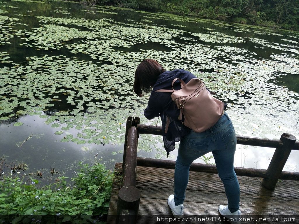 20190919 Yoko福山植物園、香草菲菲、養蜂人家、清水地熱_190924_0005.jpg