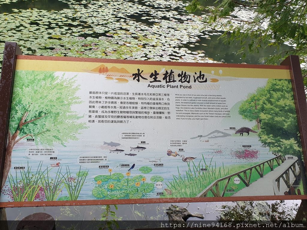 1080919 福山植物園、香草菲菲_190924_0005.jpg