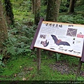 1080919 福山植物園、香草菲菲_190924_0030.jpg