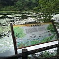 20190919 Yoko福山植物園、香草菲菲、養蜂人家、清水地熱_190924_0006.jpg