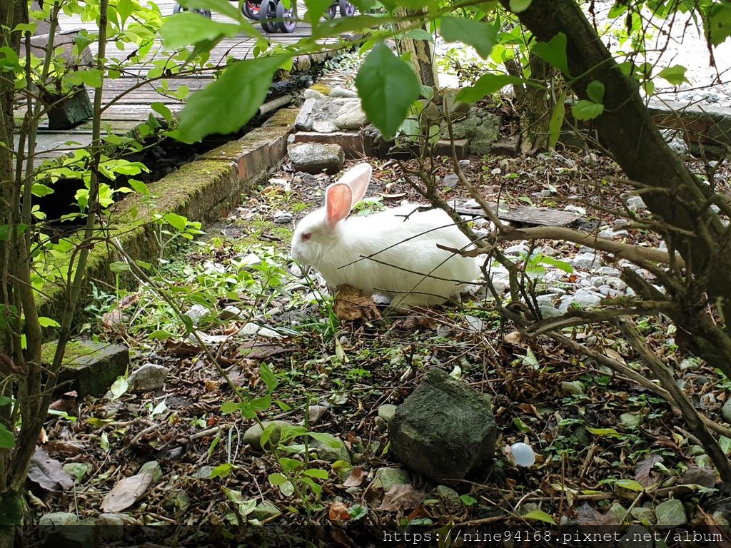 1080920 清水公園、林文化園區、廣興農場_190924_0220.jpg