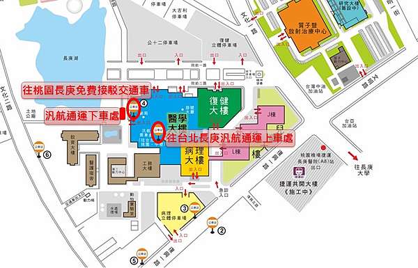 正顎 桃園長庚探路 大眾交通路線 洪豆尼 痞客邦