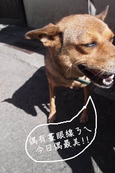 回上一層(熱鍵:b)