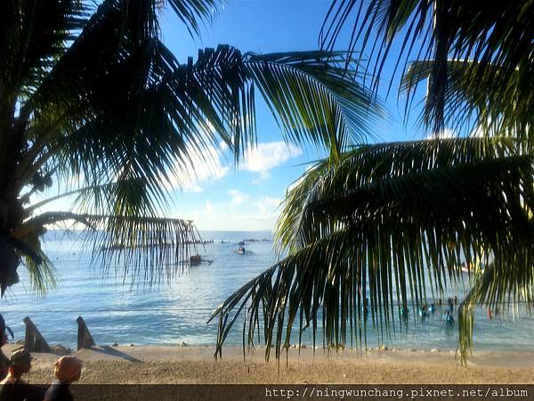 oslob whaleshark watching