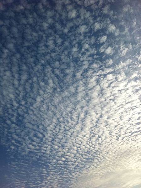 今天的雲是一粒粒