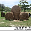 DSC02829-1