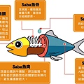 fish_08