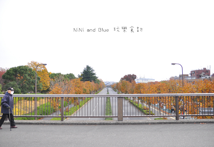 日本銀杏昭和公園01.jpg