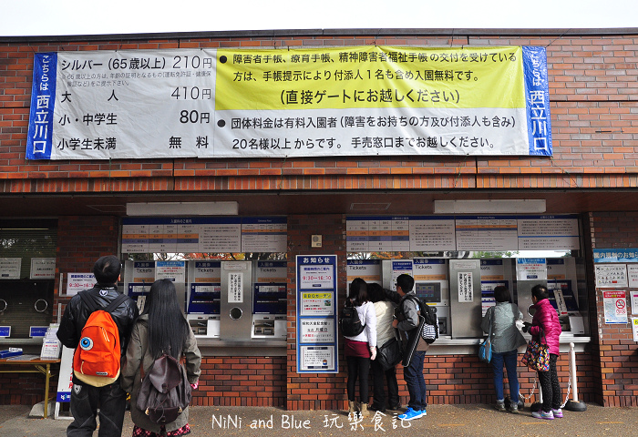 日本銀杏昭和公園03.jpg