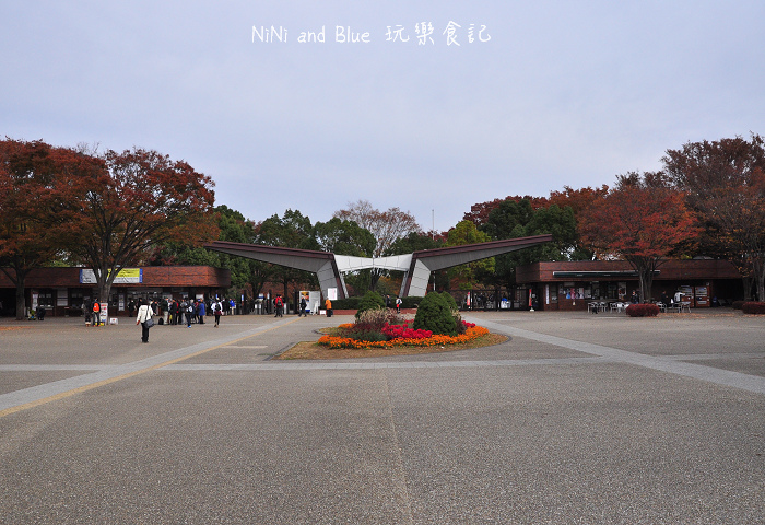 日本銀杏昭和公園02.jpg