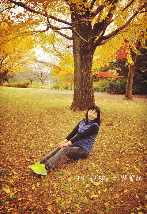 日本銀杏昭和公園29.jpg