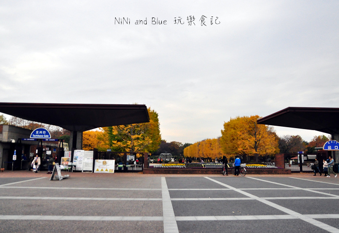 日本銀杏昭和公園39.jpg