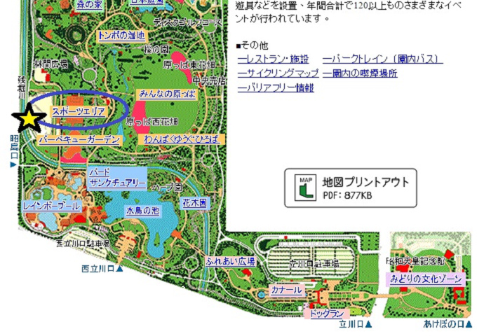 日本銀杏昭和公園40.jpg