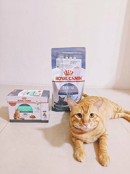 貓咪的幸福之選貓飼料推薦開箱-法國皇家【O30潔牙保健乾糧】