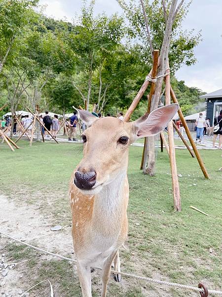 20200723寶貝生日快樂❤️女朋友笑翻的精心策劃之兩天一夜輕旅行💋_201102_82