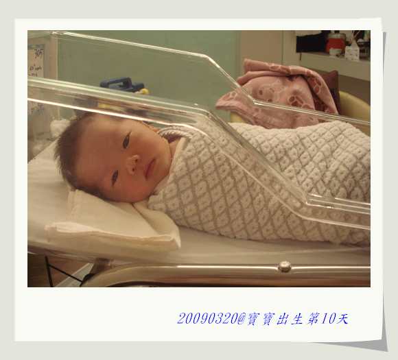 nEO_IMG_DSC07129.jpg