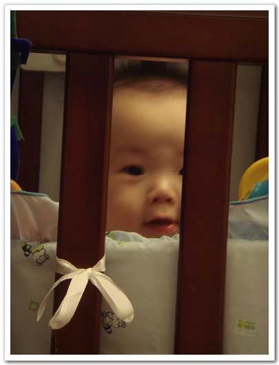 nEO_IMG_DSC09655.jpg