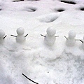 尾山神社的雪人